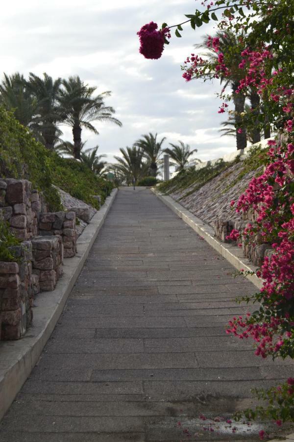 Apartamento Cabo De Gata Retamar  Extérieur photo